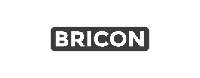Logo Bricon